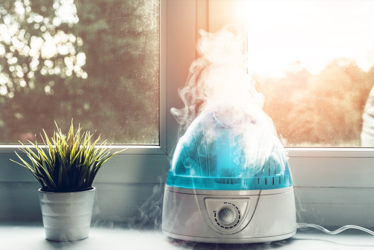 Humidifier 