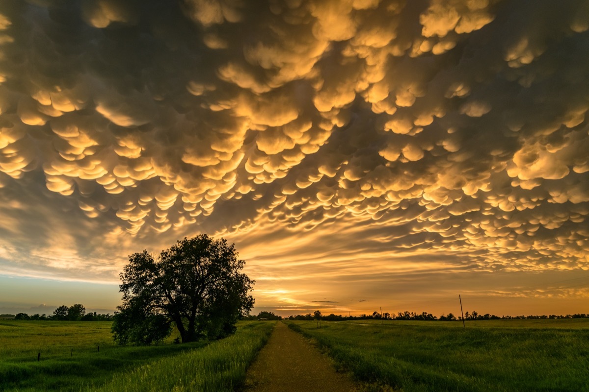 Low clouds over rural area at dusk