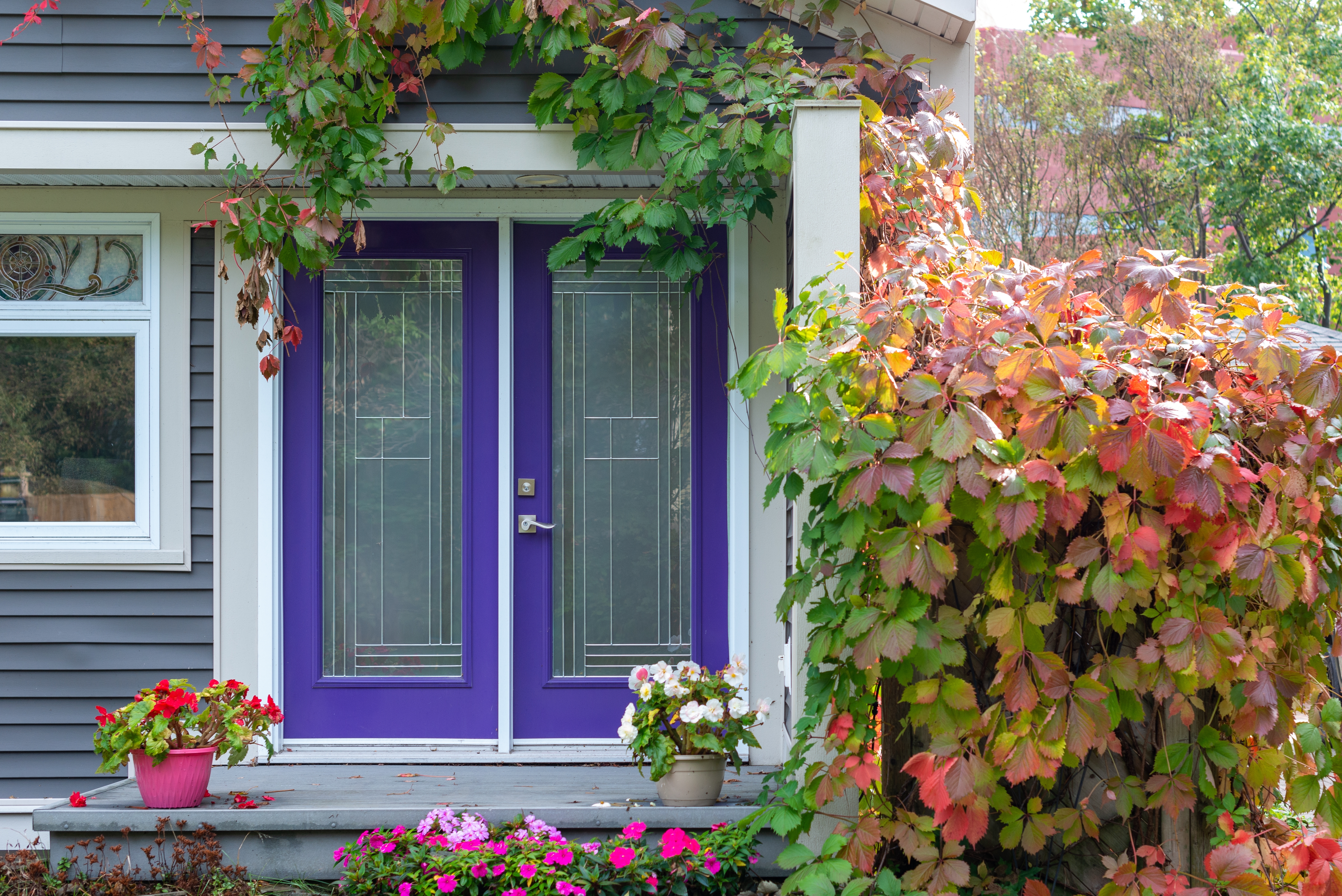 purple front door
